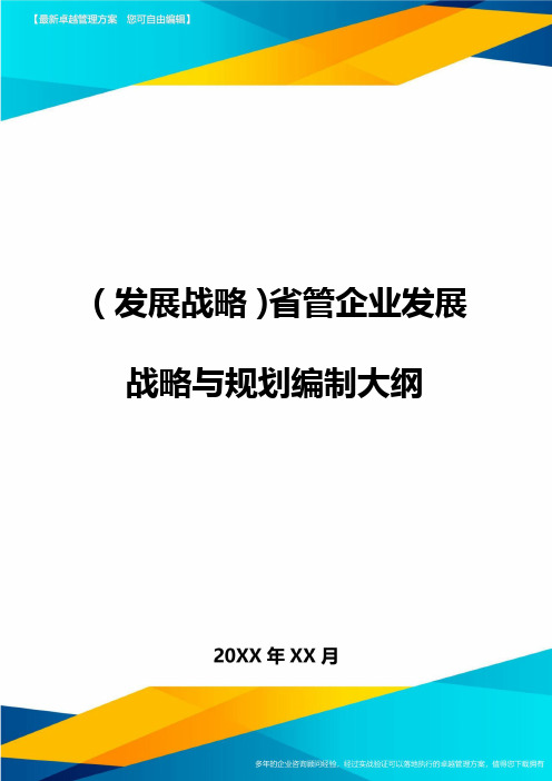 (发展战略)省管企业发展战略与规划编制大纲最全版