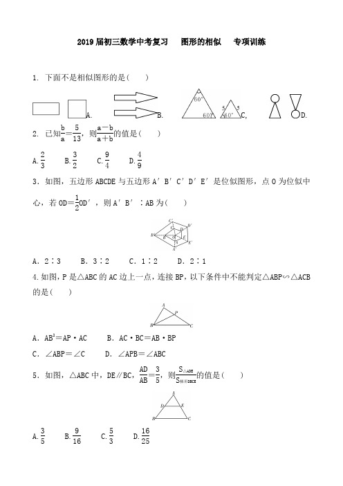 2019届初三数学中考复习   图形的相似   专项训练 含答案