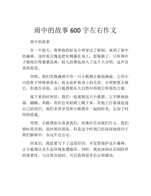 雨中的故事600字左右作文