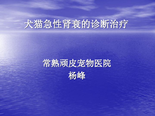 犬猫急性肾衰的诊断治疗及腹膜透析、配血