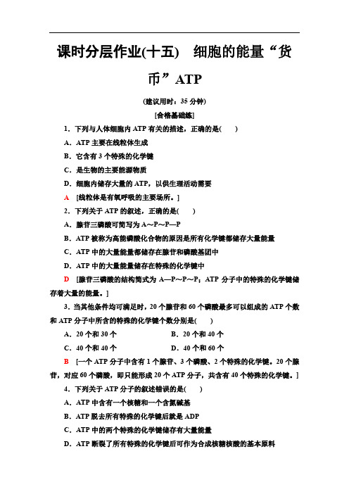 人教版高中生物必修一分层作业15细胞的能量“通货”ATP