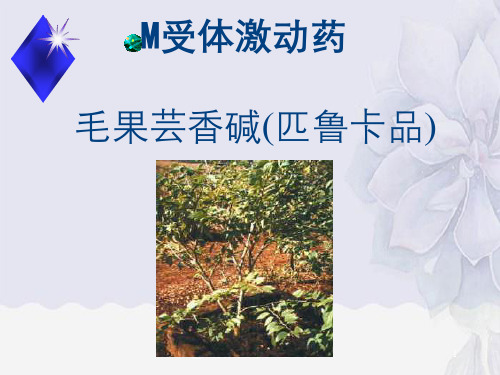 胆碱能系统激动药和阻断药