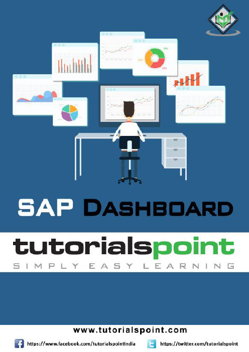 SAP Dashboard基础教程：数据可视化工具入门说明书