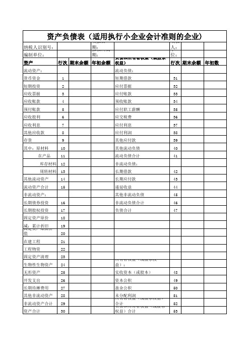 资产负债表 适用执行小企业会计准则的企业 
