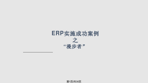 ERP实施成功案例PPT课件