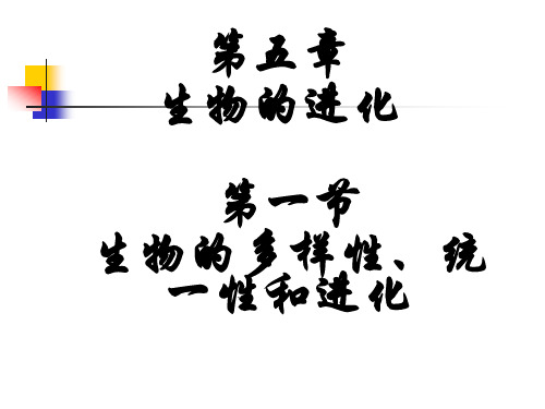 浙科版 高中生物 2019-2020 必修二第五章 第一节 生物的多样性、统一性和进化(共38张PPT)