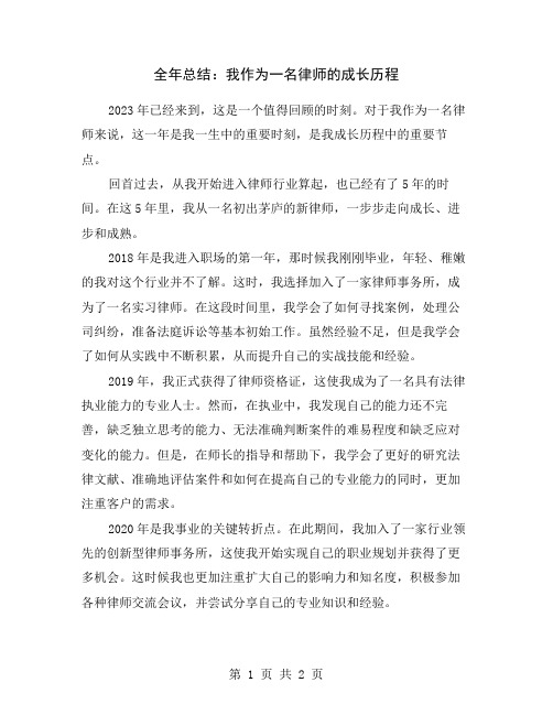 全年总结：我作为一名律师的成长历程