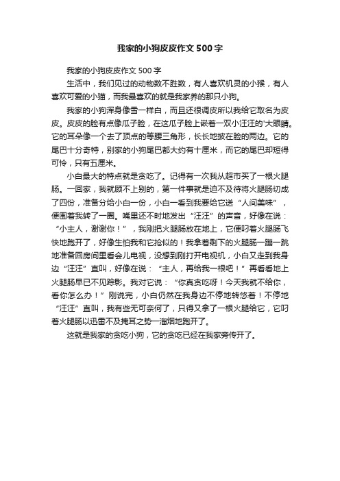 我家的小狗皮皮作文500字