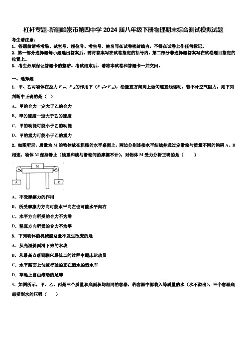 杠杆专题-新疆哈密市第四中学2024届八年级下册物理期末综合测试模拟试题含解析