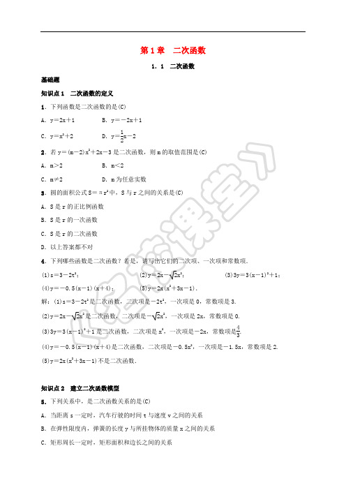 2019届九年级数学下册 第一章 1.1 二次函数练习 (新版)湘教版