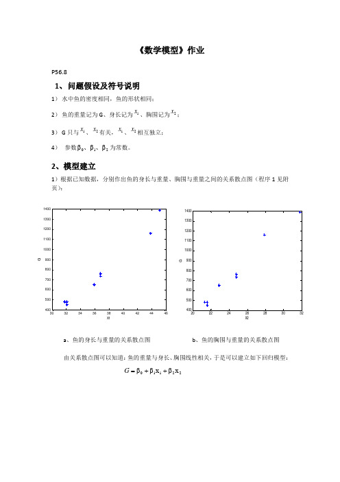 鱼模型