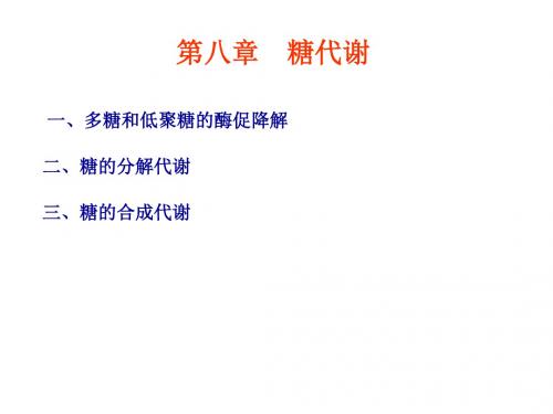 多糖和低聚糖的酶促降解