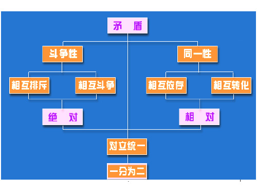 矛盾的普遍性与特殊性概要