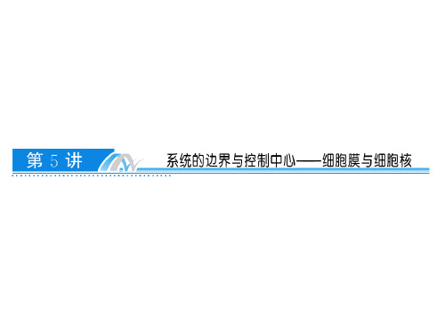 2014高考专题复习1-1-5-系统的边界与控制中心——细胞膜与细胞核PPT