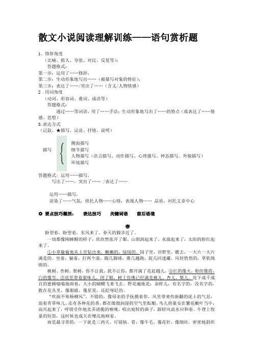 散文小说阅读理解训练——语句赏析题-题目与指导