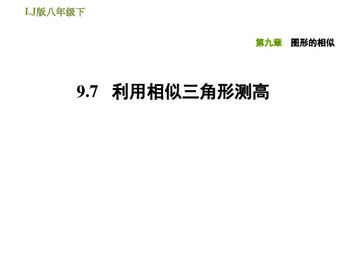 鲁教版五四制八年级下册数学第九章 图形的相似 利用相似三角形测高