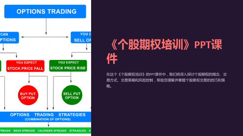 《个股期权培训》课件