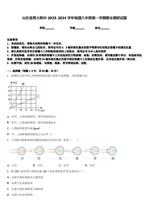 山东省青大附中2023-2024学年物理八年级第一学期期末调研试题含答案