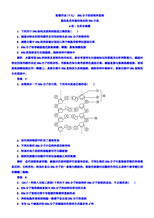 2018版高考生物大一轮复习配餐作业19含答案