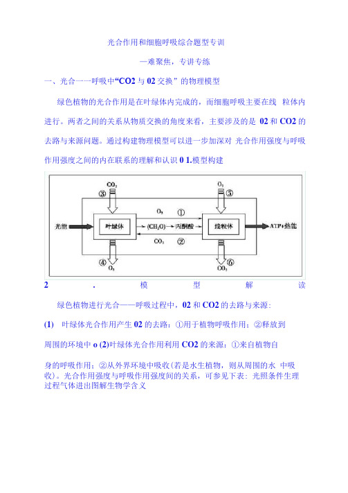 2021年高考生物光合作用和细胞呼吸综合题型专训