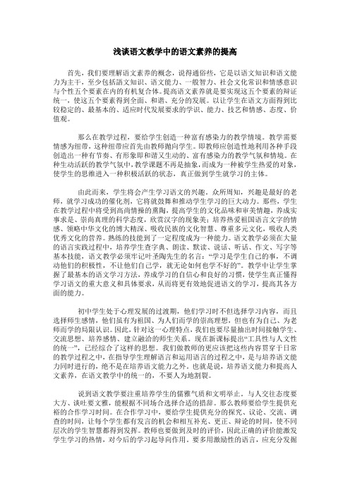 浅谈语文教学中的语文素养的提高