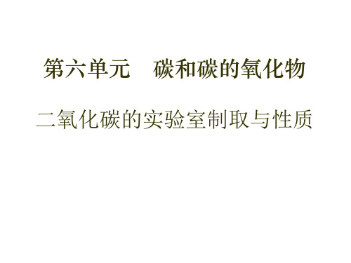 初三化学上册二氧化碳的实验室制取与性质