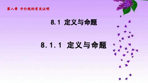 鲁教版七年级数学下册_8.1.1 定义与命题