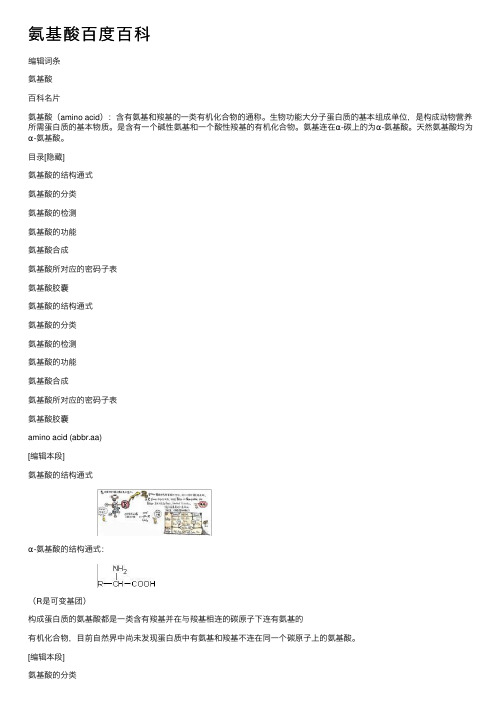 氨基酸百度百科