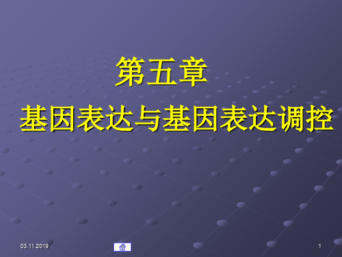 第05章基因表达与基因表达调控-PPT资料94页