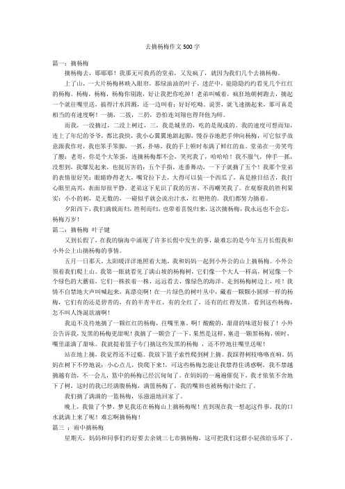 去摘杨梅作文500字优秀作文