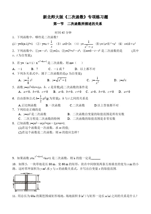 新北师大版九年级下《二次函数》专项训练题