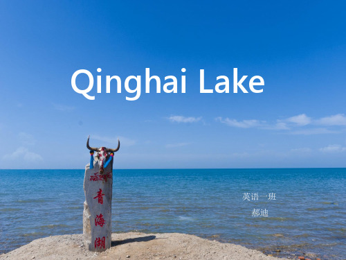 青海湖 英文介绍ppt