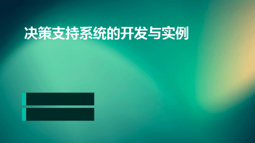 决策支持系统的开发与实例