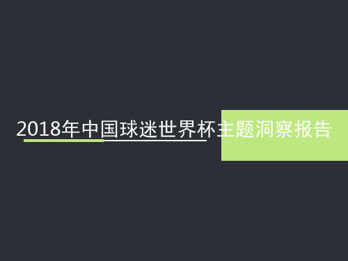 2018年中国球迷世界杯主题洞察报告