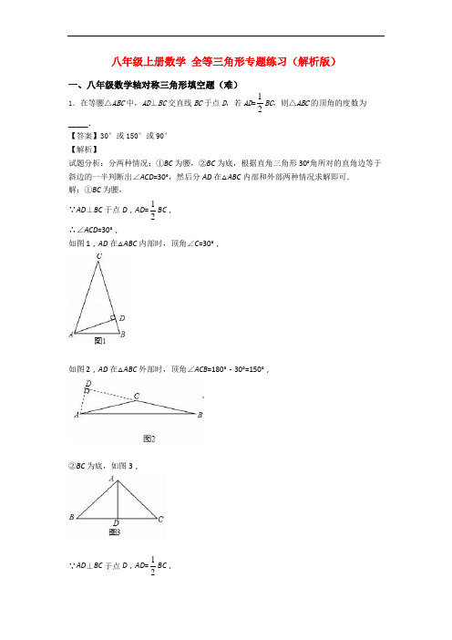 八年级上册数学 全等三角形专题练习(解析版)