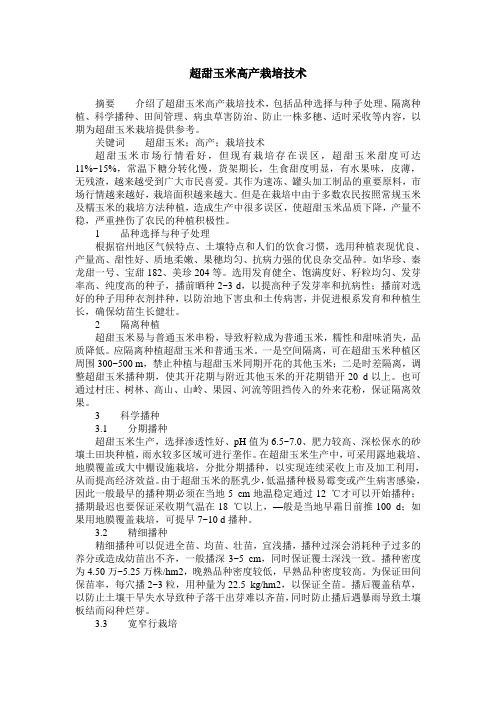 超甜玉米高产栽培技术