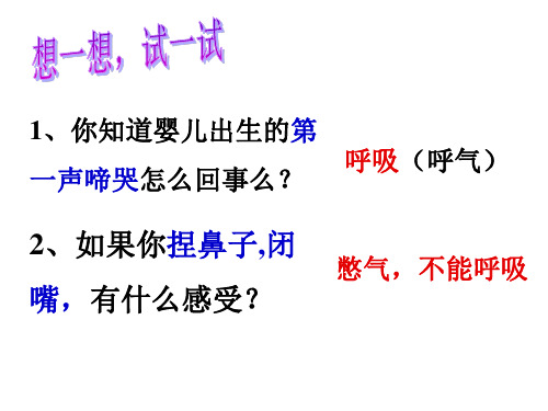 人教版七年级生物下册第三章人体的呼吸PPT课件