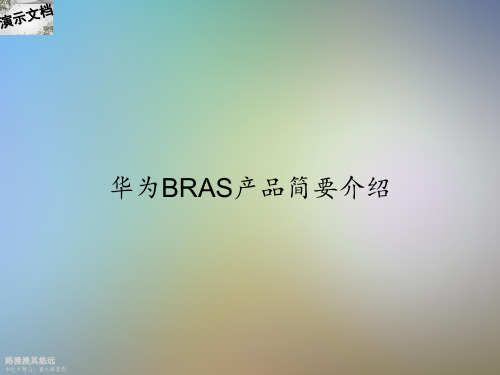 华为BRAS产品简要介绍