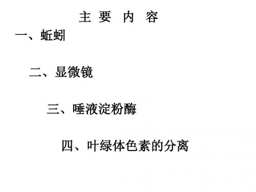 华师大版九年级科学 中 考复习专题 课件 实验讲座(共66张PPT)