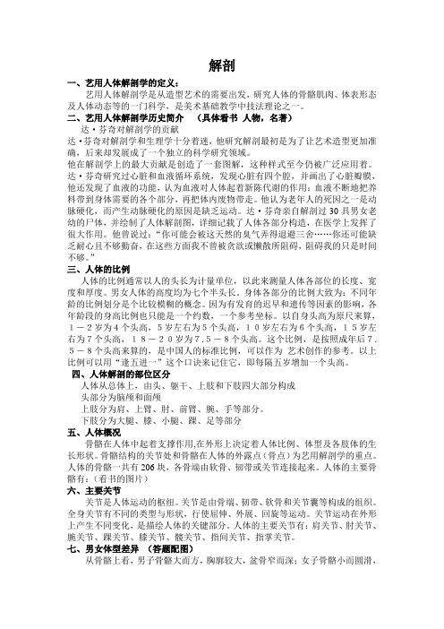 解剖透视