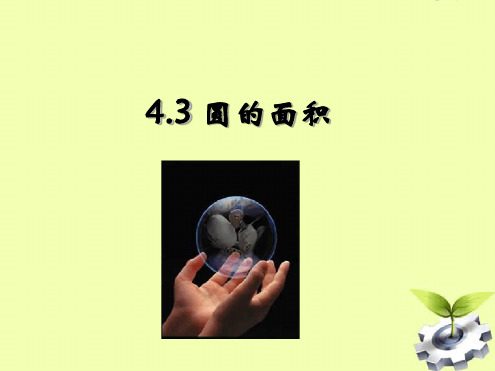 六年级数学上册43圆的面积第1课时课件沪教版