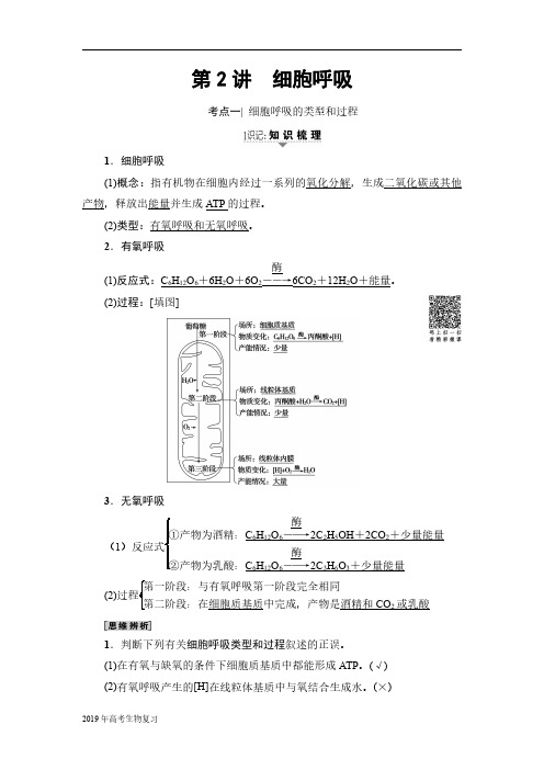 2019届一轮复习人教版细胞呼吸教案