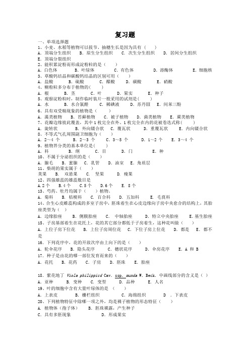 药用植物学+复习题及答案