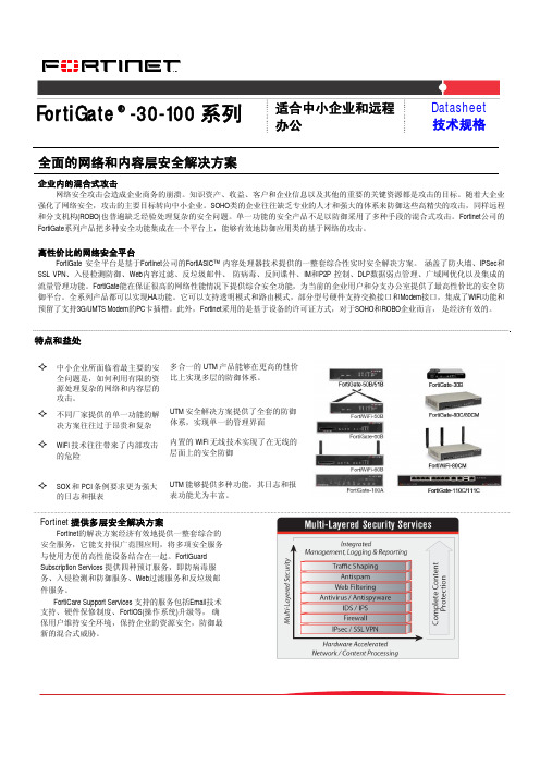 飞塔硬件防火墙FGT30-100