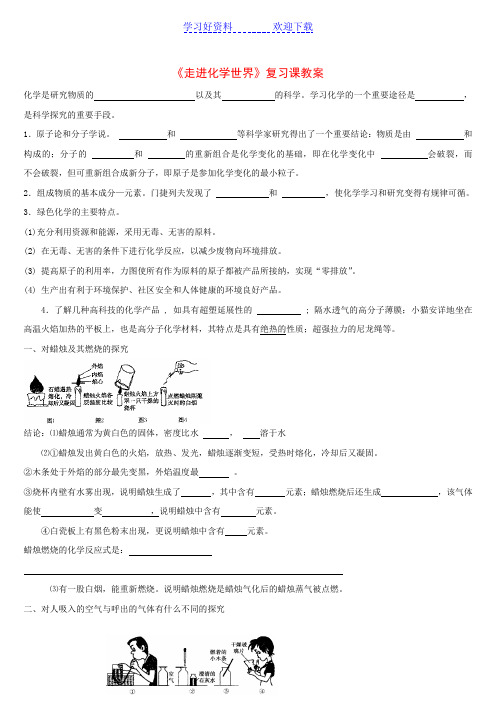 九年级化学第一单元《走进化学世界》复习课教案人教版