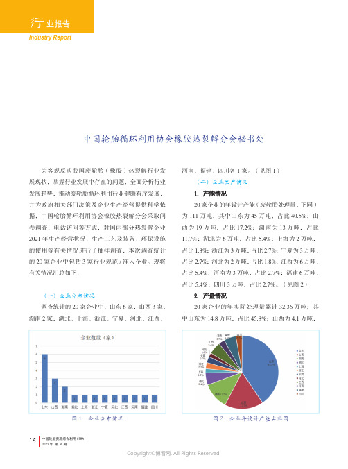 2021年废轮胎（橡胶）热裂解行业部分企业生产经营情况调查统计报告