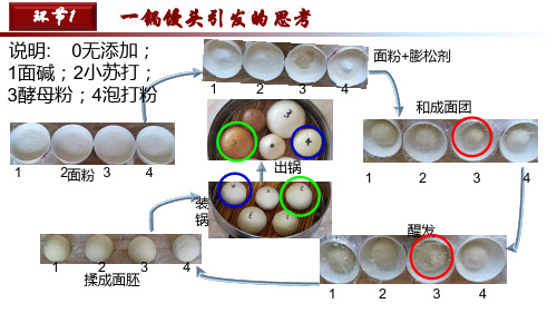 探秘膨松剂优质课课件