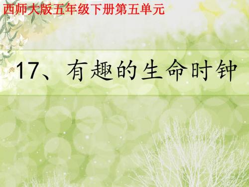 西师大版五年级下册《有趣的生命时钟》