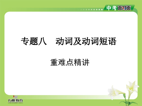 中考英语(湖南专用+新课标)总复习课件：第二部分+语法专题突破+专题八+动词及动词短语