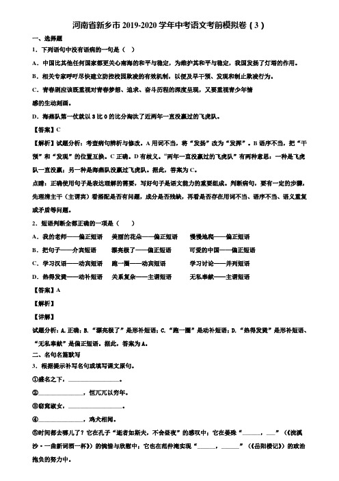 河南省新乡市2019-2020学年中考语文考前模拟卷(3)含解析